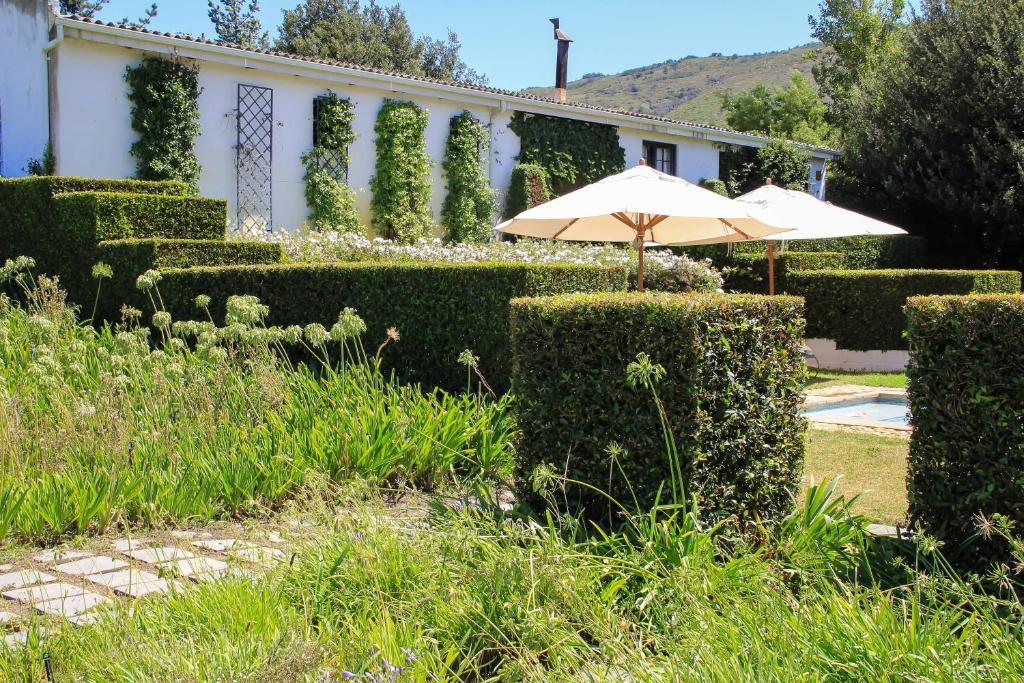 Belair Country House Bed & Breakfast Paarl Dış mekan fotoğraf